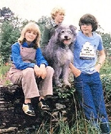 The Bagthorpe Saga (1981) - Stream Online