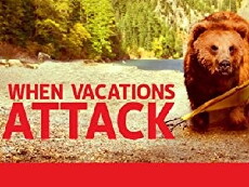 When Vacations Attack (2010) - Stream Online