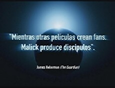 Seleccion TCM: Terrence Malick (2016) - Stream Online