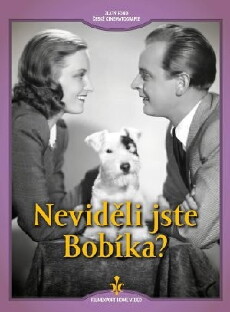 Nevideli jste Bobíka? (1944) - Stream Online