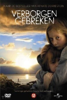Hidden Flaws (2004) - Stream Online