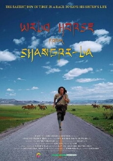 Wild Horse from Shangri-La (2009) - Stream Online