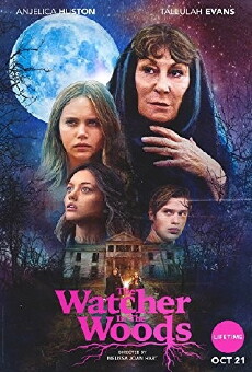The Watcher in the Woods (2017) - Stream Online