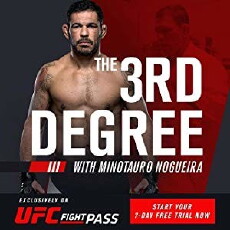 The 3rd Degree with Minotauro Nogueira (2017) - Stream Online