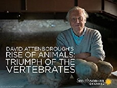 Rise of Animals: Triumph of the Vertebrates (2013) - Stream Online