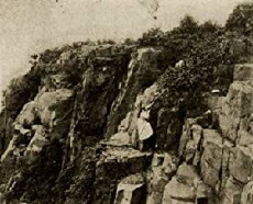 The Yellow Traffic (1914) - Stream Online