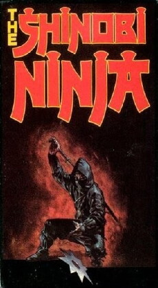 The Shinobi Ninja (1981) - Stream Online