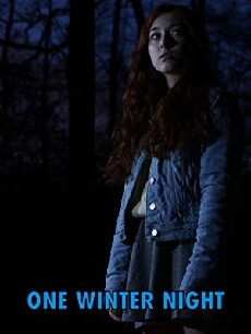 One Winter Night (2019) - Stream Online