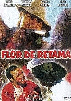 Broom Flower (2004) - Stream Online
