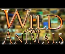 Wild About Animals (1995) - Stream Online