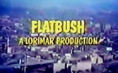 Flatbush (1979) - Stream Online