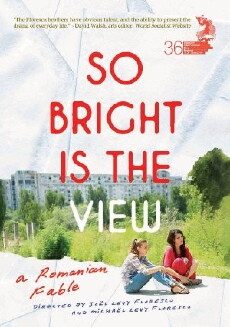 So Bright Is the View (2014) - Stream Online