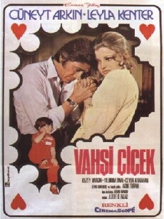 Vahsi çiçek (1971) - Stream Online