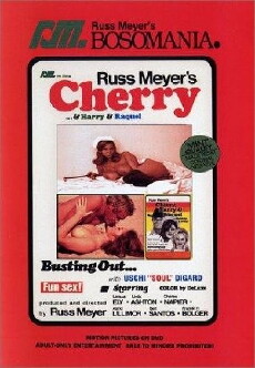 Cherry, Harry & Raquel! (1970) - Stream Online