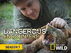 Dangerous Encounters (2005) - Stream Online