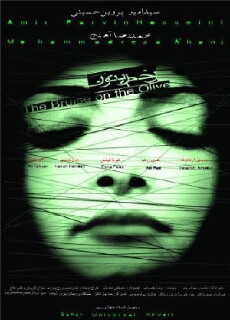 The Bruise on the Olive (2004) - Stream Online