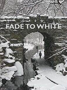 Fade to White (2014) - Stream Online