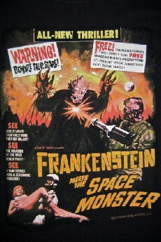 Frankenstein Meets the Spacemonster (1965) - Stream Online