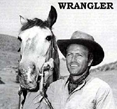 Wrangler (1960) - Stream Online