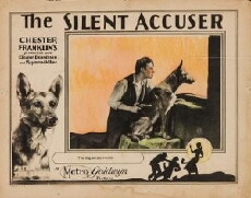 The Silent Accuser (1924) - Stream Online