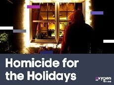 Homicide for the Holidays (2016) - Stream Online