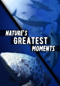 Nature's Greatest Moments (1999) - Stream Online
