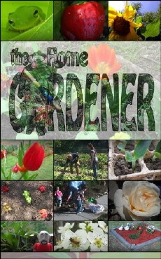 The Home Gardener (2012) - Stream Online