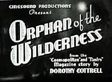 Wild Innocence (1936) - Stream Online