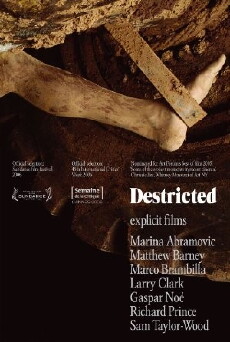 Destricted (2006) - Stream Online
