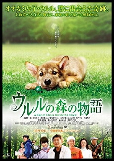 A Tale of Ululu's Wonderful Forest (2009) - Stream Online