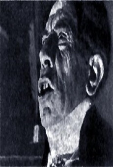 A Portuguesa de Nápoles (1931) - Stream Online
