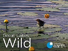 Great Lakes Wild (2014) - Stream Online