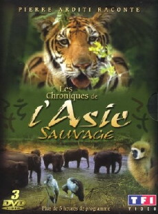 Chroniques de la jungle perdue (2001) - Stream Online