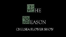 The Season: Chelsea Flower Show (1996) - Stream Online