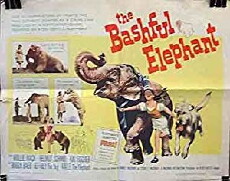 The Bashful Elephant (1962) - Stream Online