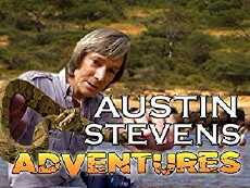 Austin Stevens Adventures (2008) - Stream Online