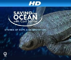 Saving the Ocean with Carl Safina (2012) - Stream Online