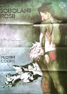 Sobolanii rosii (1990) - Stream Online