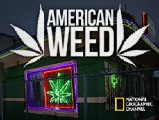 American Weed (2012) - Stream Online