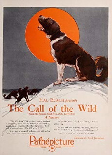 Call of the Wild (1923) - Stream Online