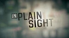 In Plain Sight (2018) - Stream Online