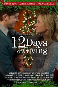 12 Days of Giving (2017) - Stream Online