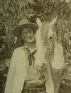 The Further Adventures of Stingaree (1917) - Stream Online