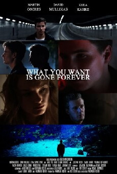 What You Want Is Gone Forever (2015) - Stream Online