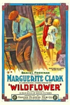 Wildflower (1914) - Stream Online