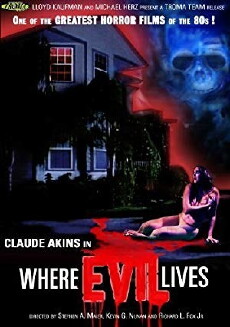 Where Evil Lives (1991) - Stream Online