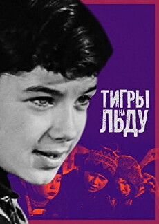 Tigry na ldu (1971) - Stream Online