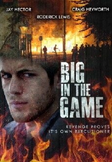 Big in the Game (2011) - Stream Online