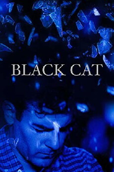 Black Cat (2017) - Stream Online