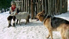 Der einsame Wolf (1972) - Stream Online